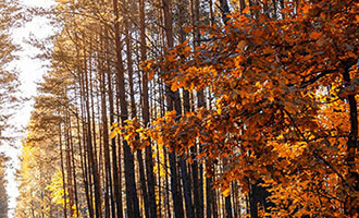 免费刷快手播放量网站，简单便宜好用的刷播放量平台推荐